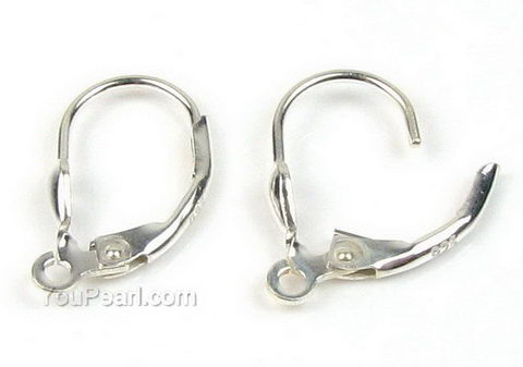 Euro wire, lever-back ear hooks with loop on sale, Gauge 21